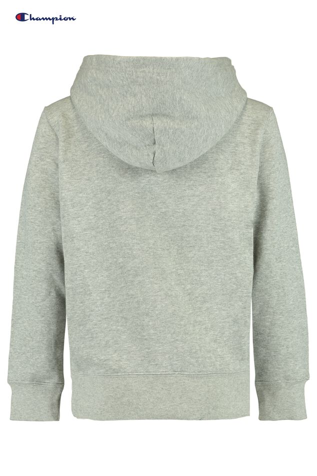 Hoodie Champion hoodie jr image number 1