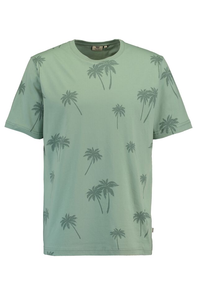 Emmanuel palm image number 0