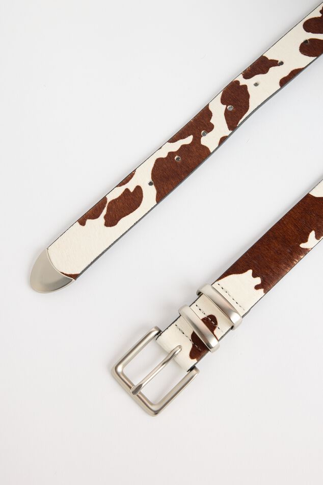 Alexis image number 1