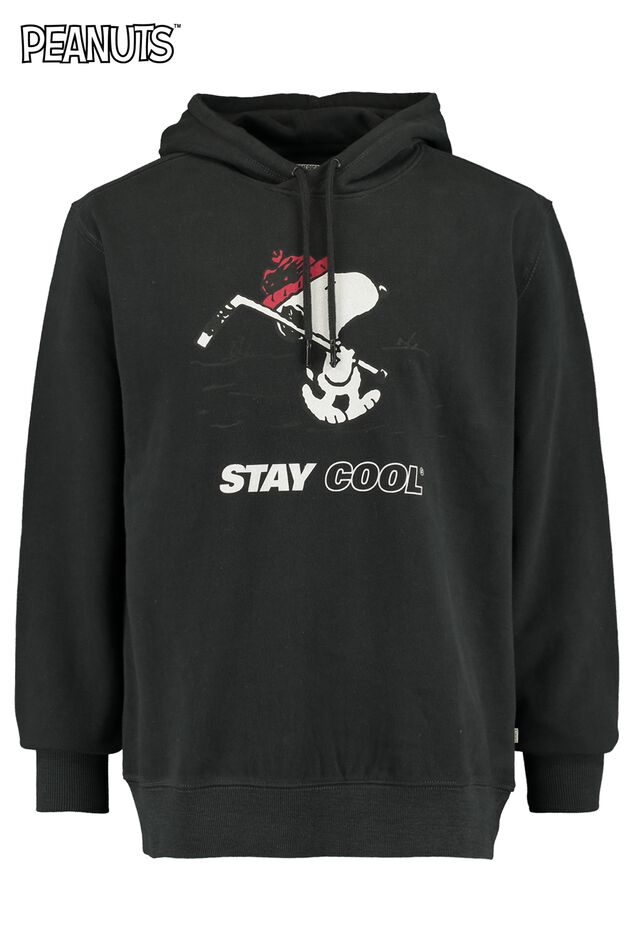 Sweat a capuche Shephard cool image number 4