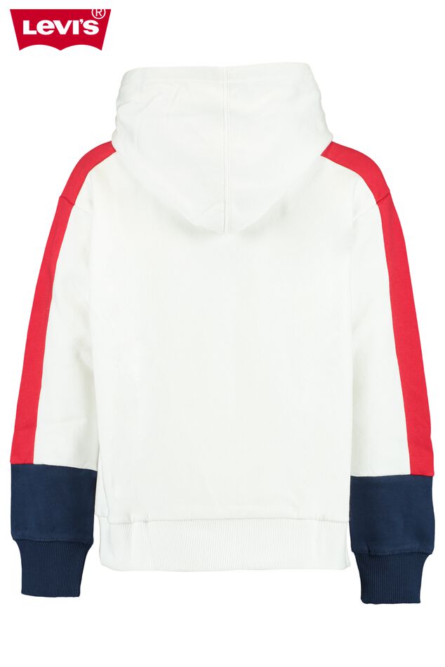 Hoodie L/S colorblock hoodie image number 1