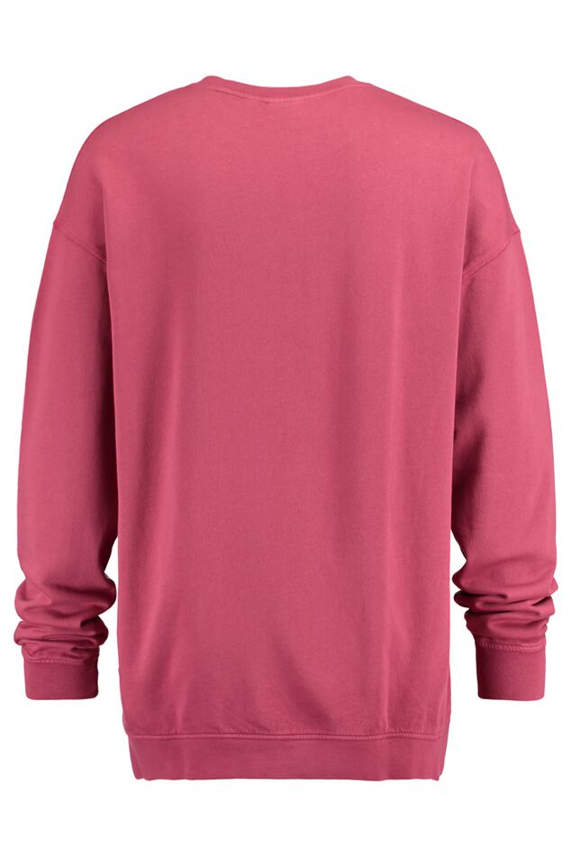 Sweat Solomon image number 1