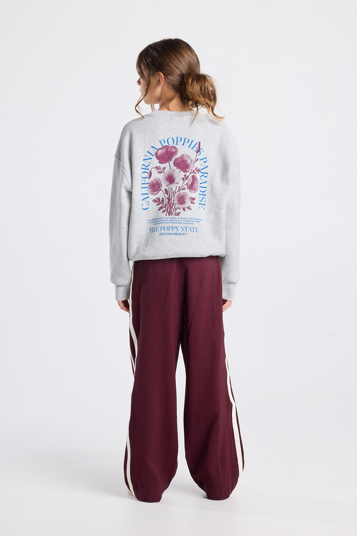 Sage jr image number 2