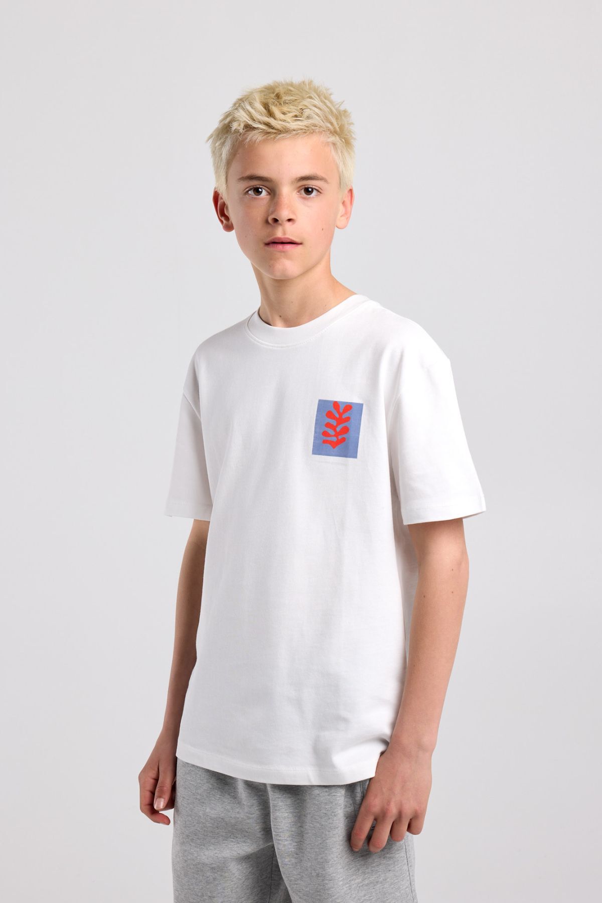 Eagle Jr image number 0