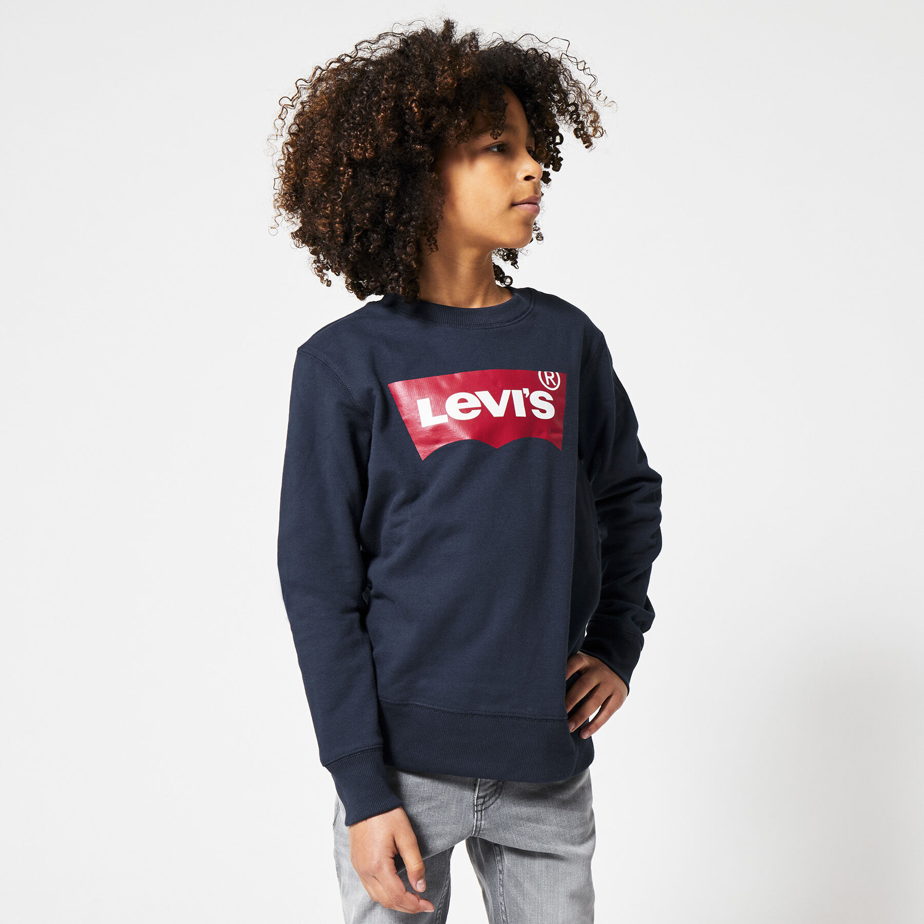 levi's sweaters