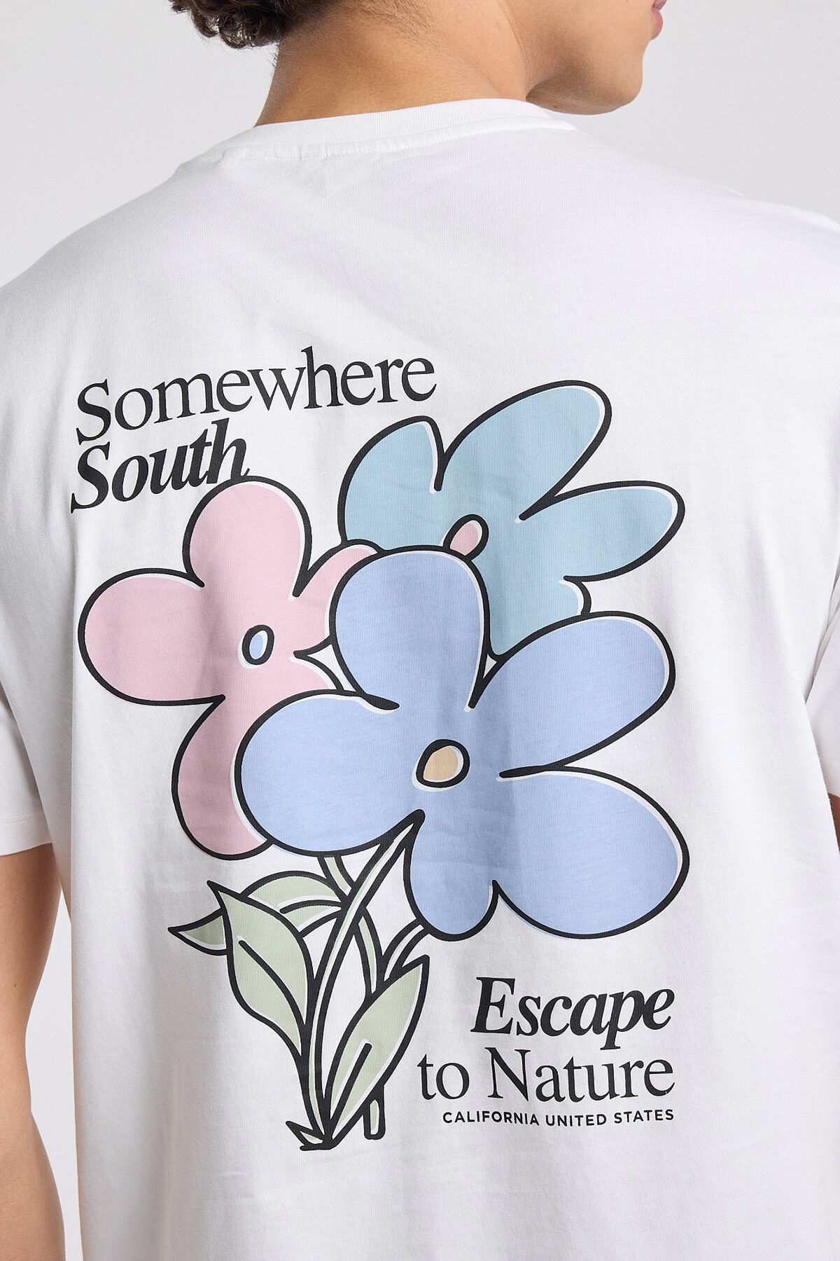 Edson image number 3