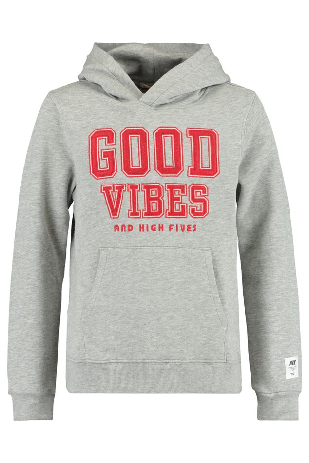 Hoodie Scottie Jr image number 3