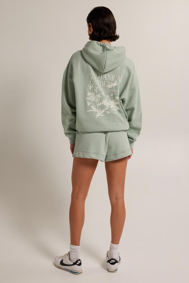 Short Noel image number 2