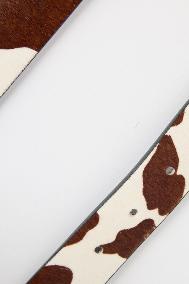 Alexis image number 2