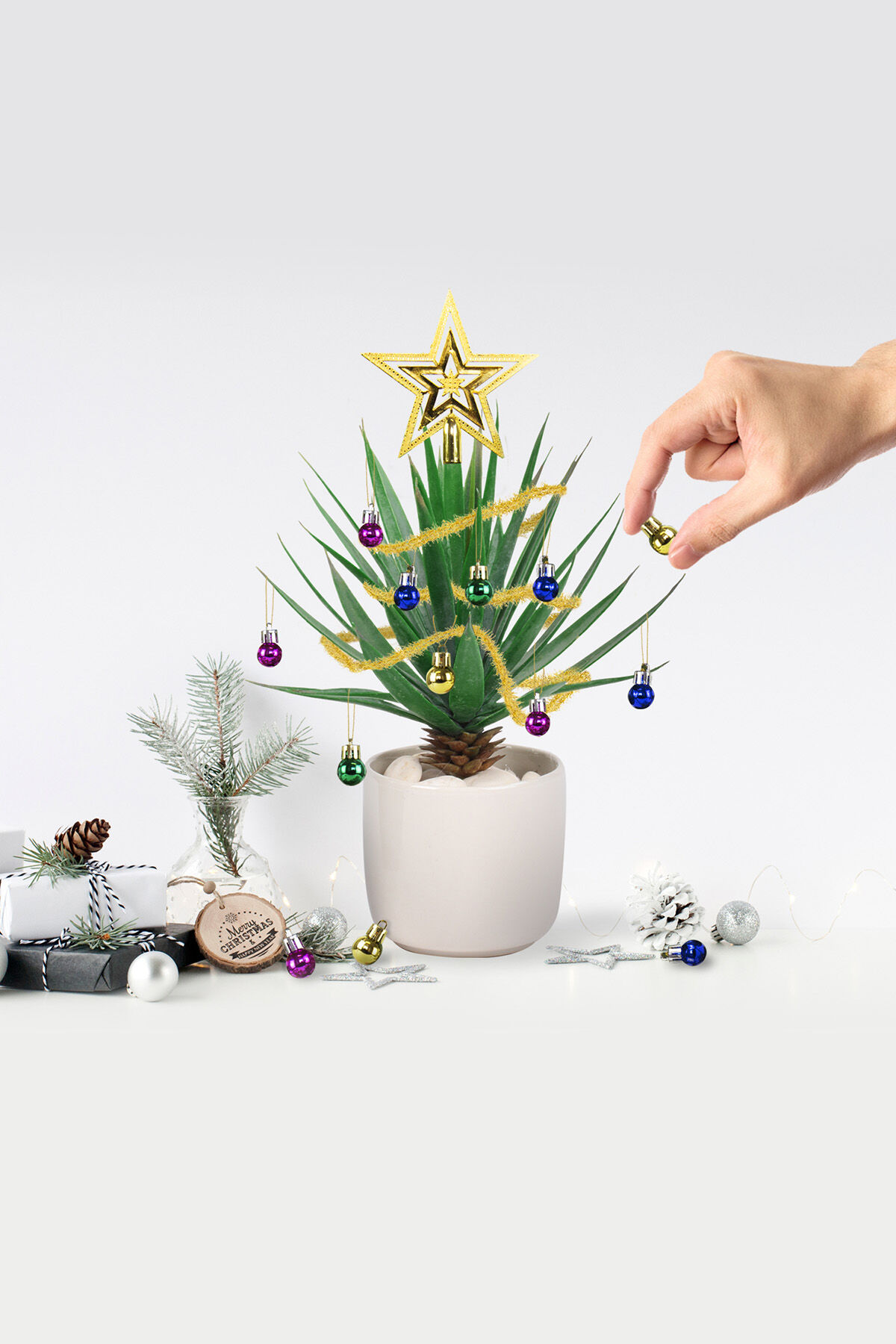 Gift Plant Baubles image number 1