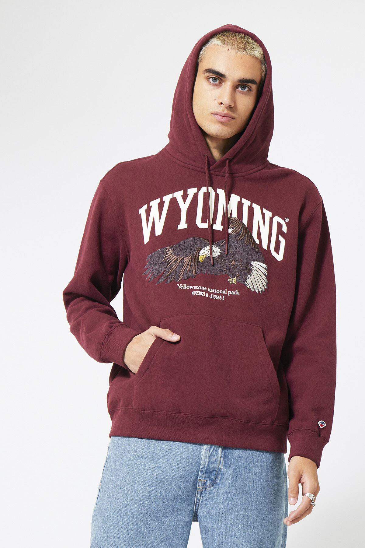 Hoodie Stone hood image number 1