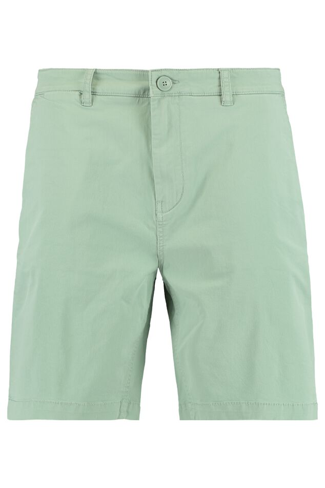 Short Stefan image number 0