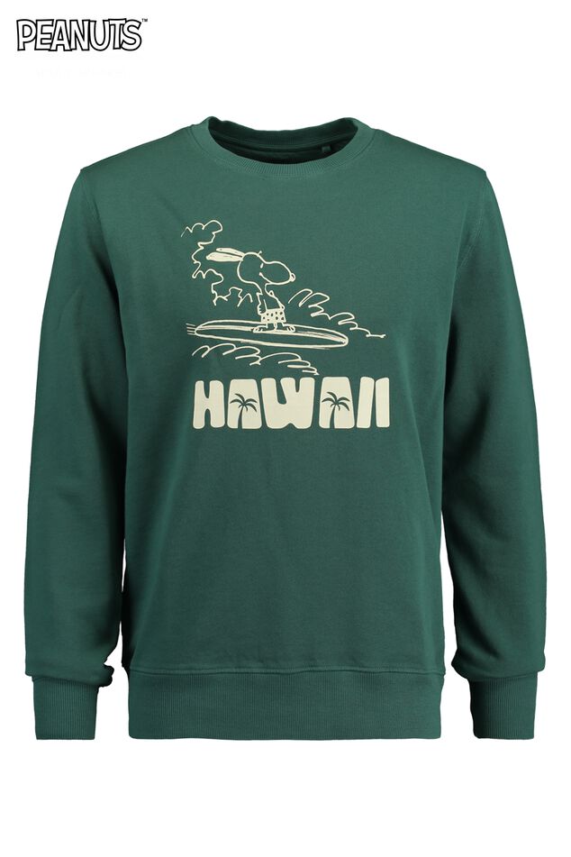 Sweat Salvin Hawaii image number 4
