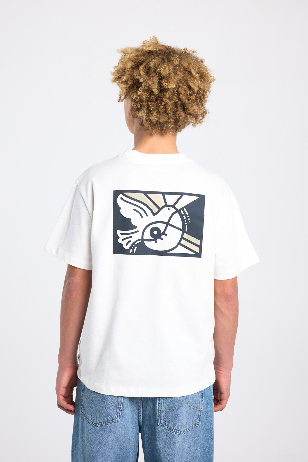 Ennio JR image number 3