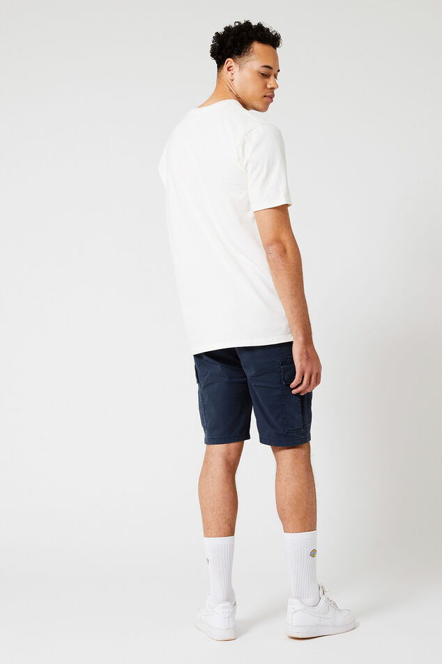 Eagle image number 2