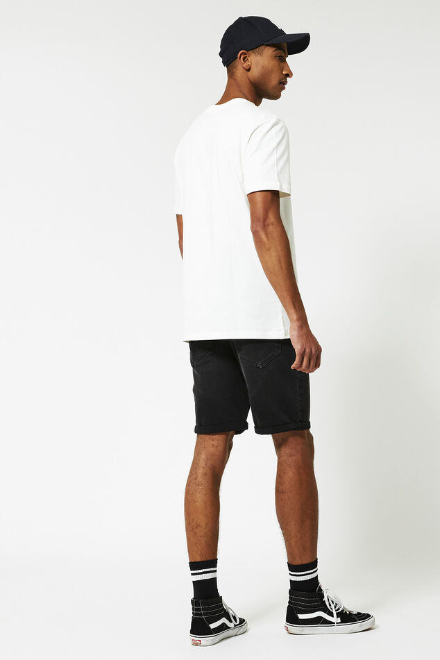 Short Robert image number 2