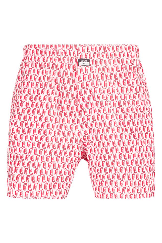 Boxershort Thomas P Utrecht image number 0