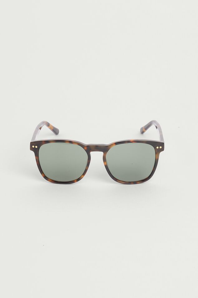 Sunglasses Tommy image number 3