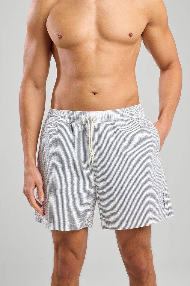 Swim trunks Andrew Stripe image number 0