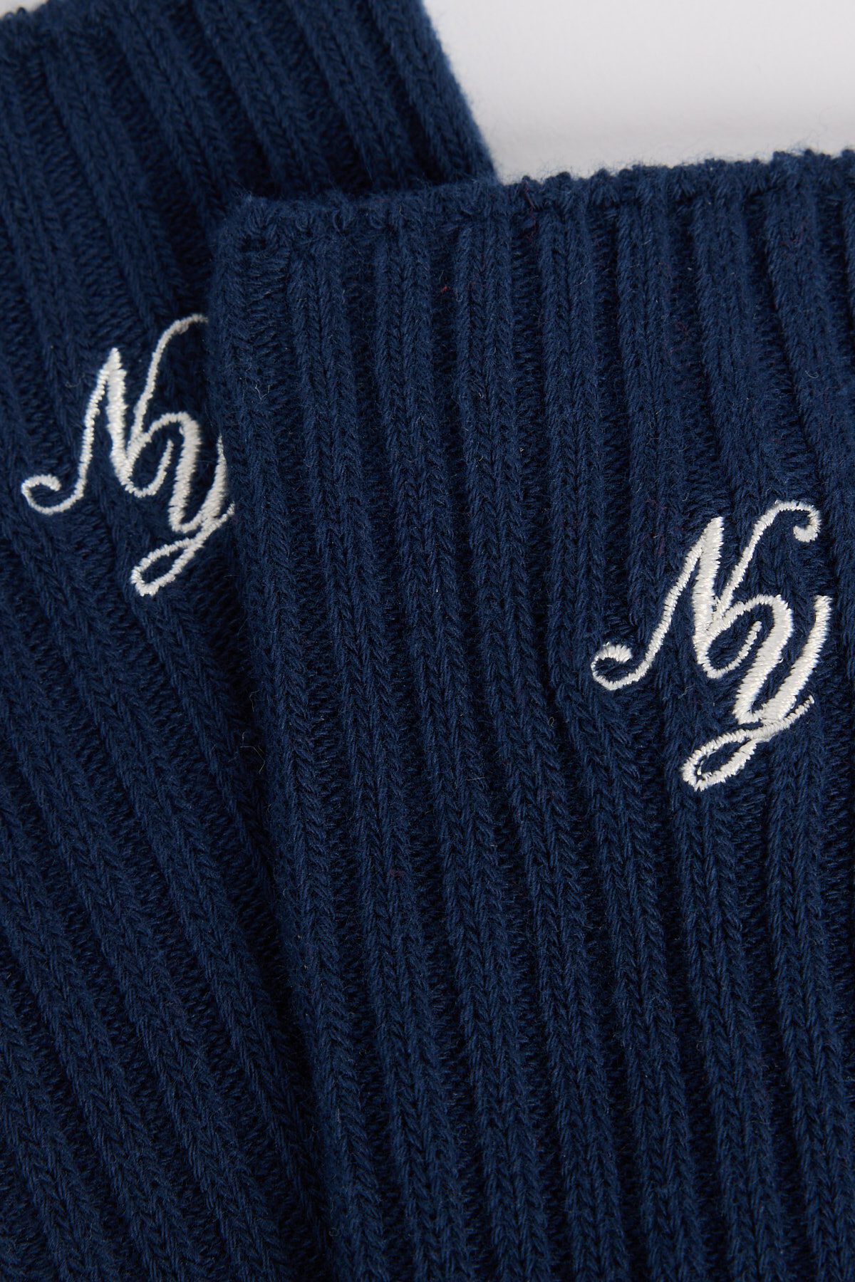 Tansy X image number 2