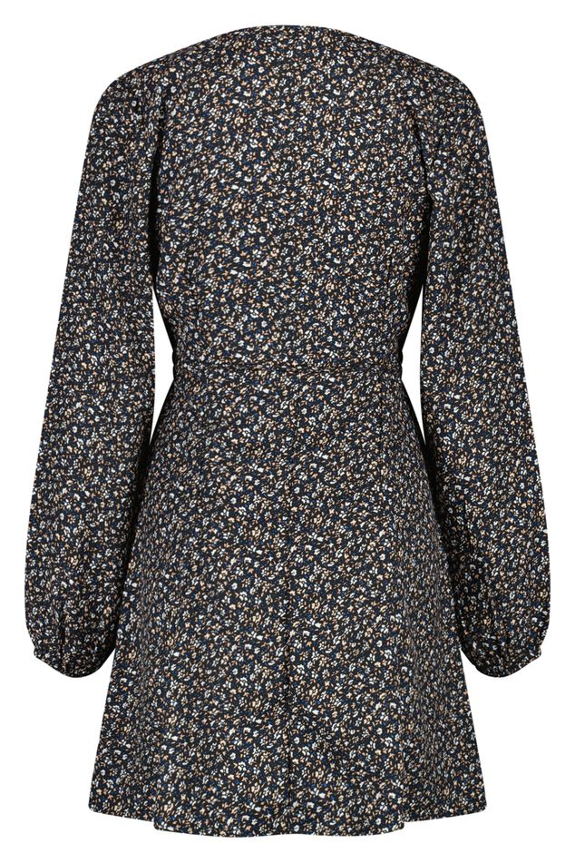 Jurk Dove image number 5