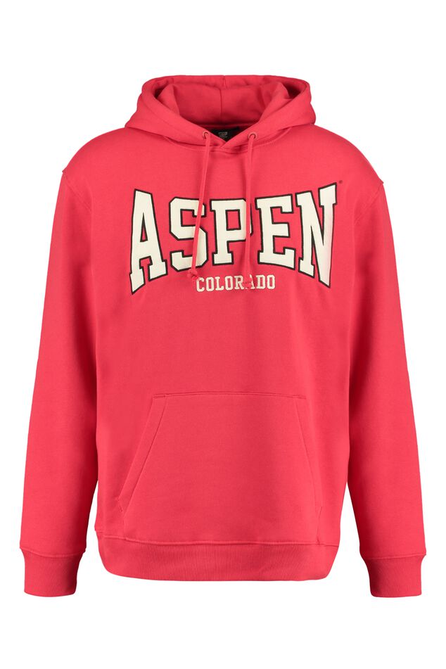 Hoodie Sport hood image number 4