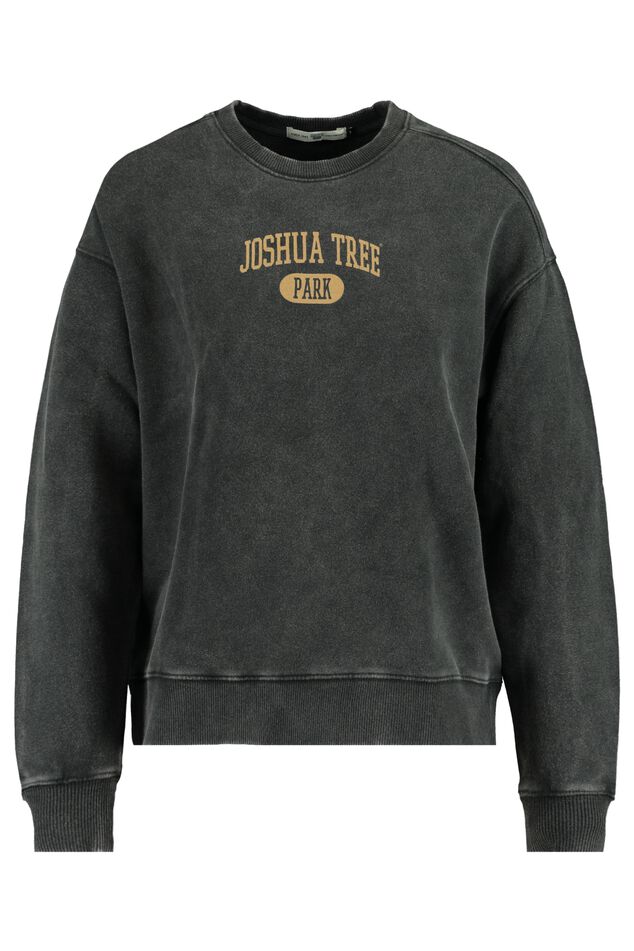 Sweater Stevie image number 3