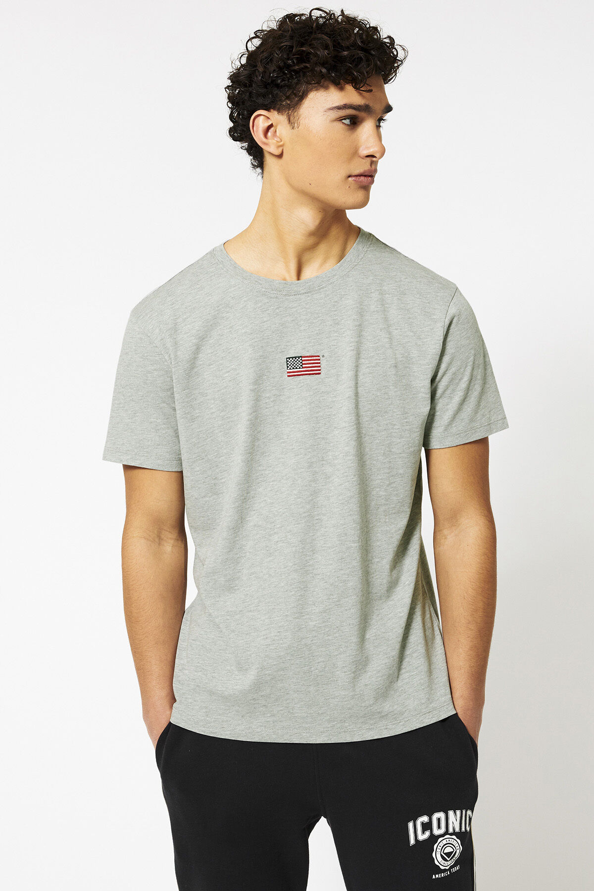 Emerson Flag image number 0