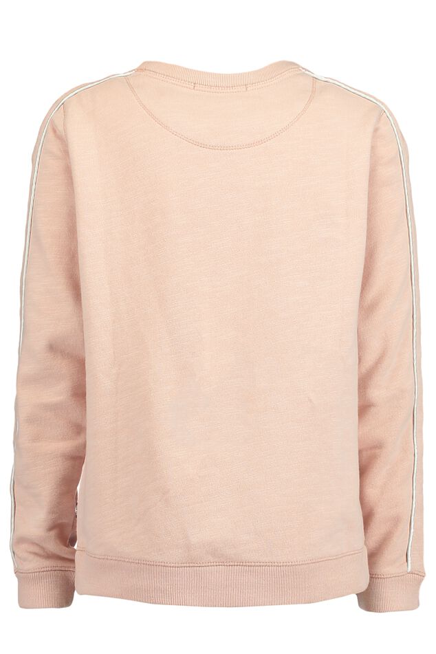 Sweat Sage  image number 1