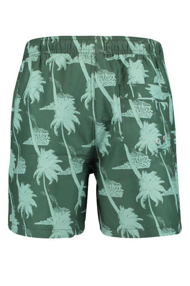 Swimming trunks Arizona AOP image number 5