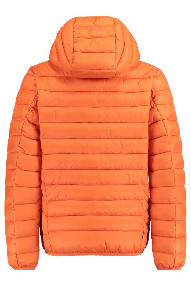 Jas Alex Jr image number 1