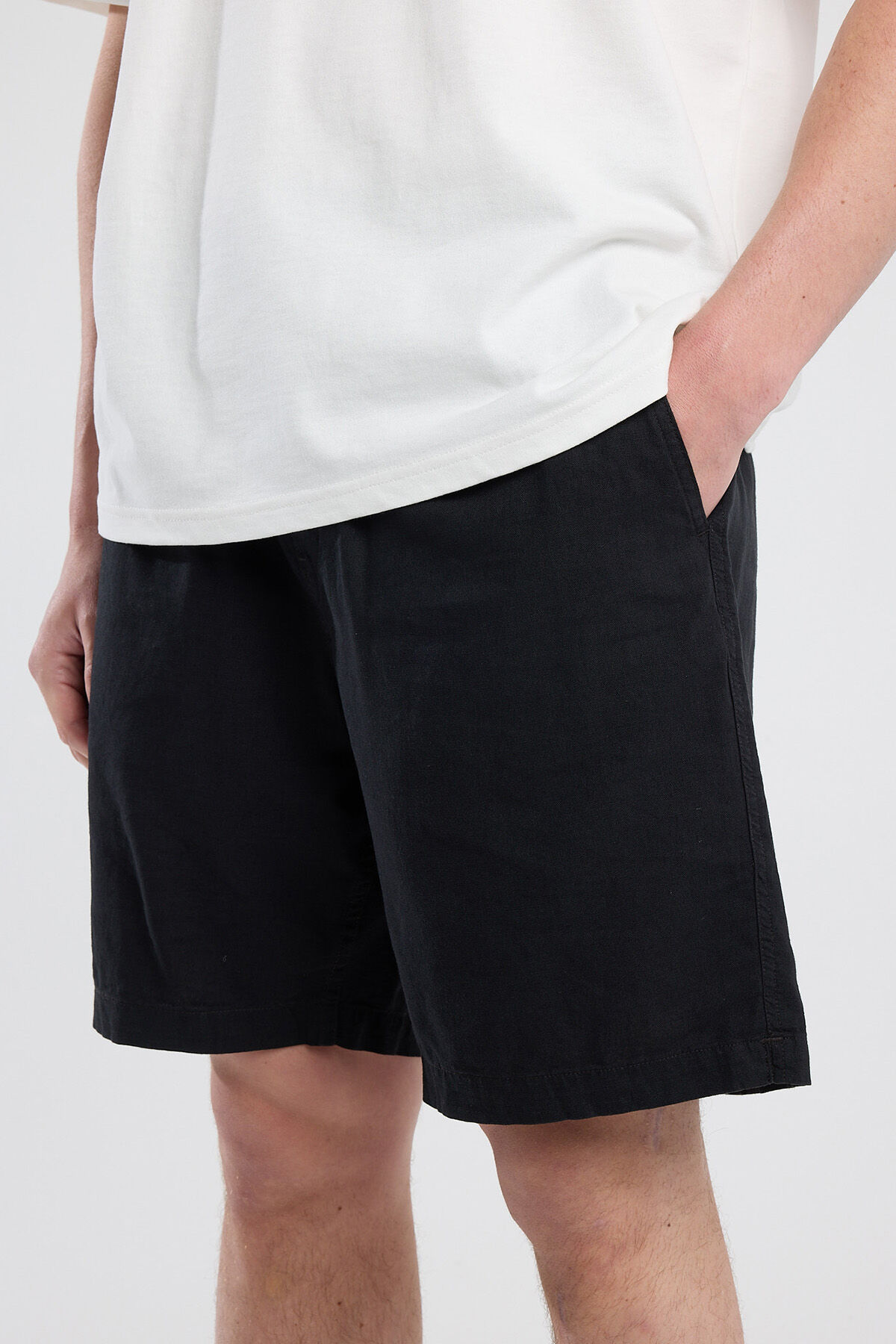 Short Norman image number 3