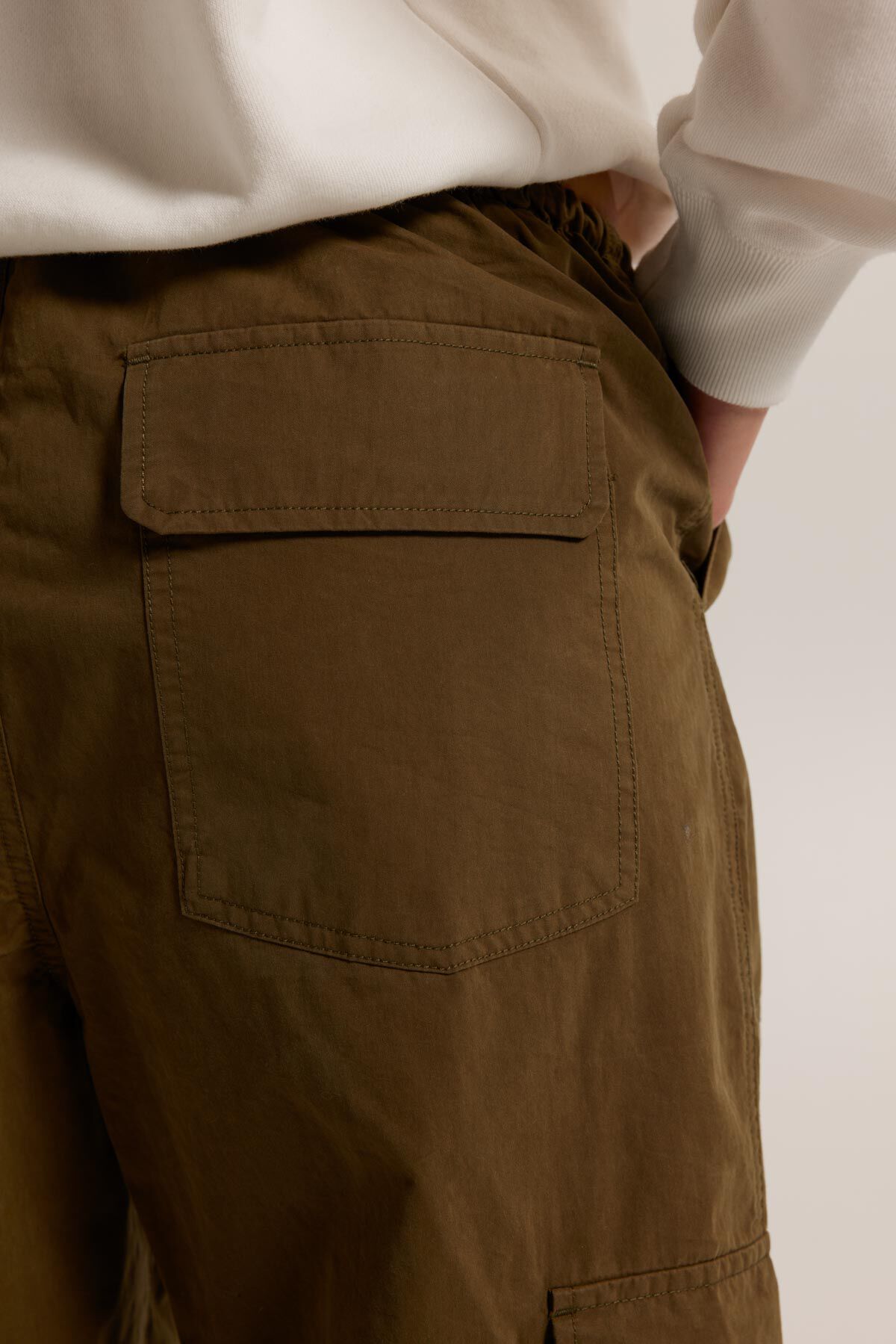 Polly image number 3