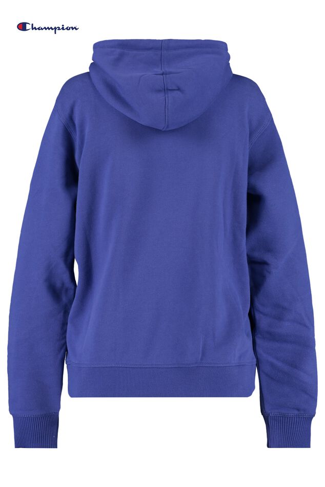 Hoodie Hoodie big Logo image number 1