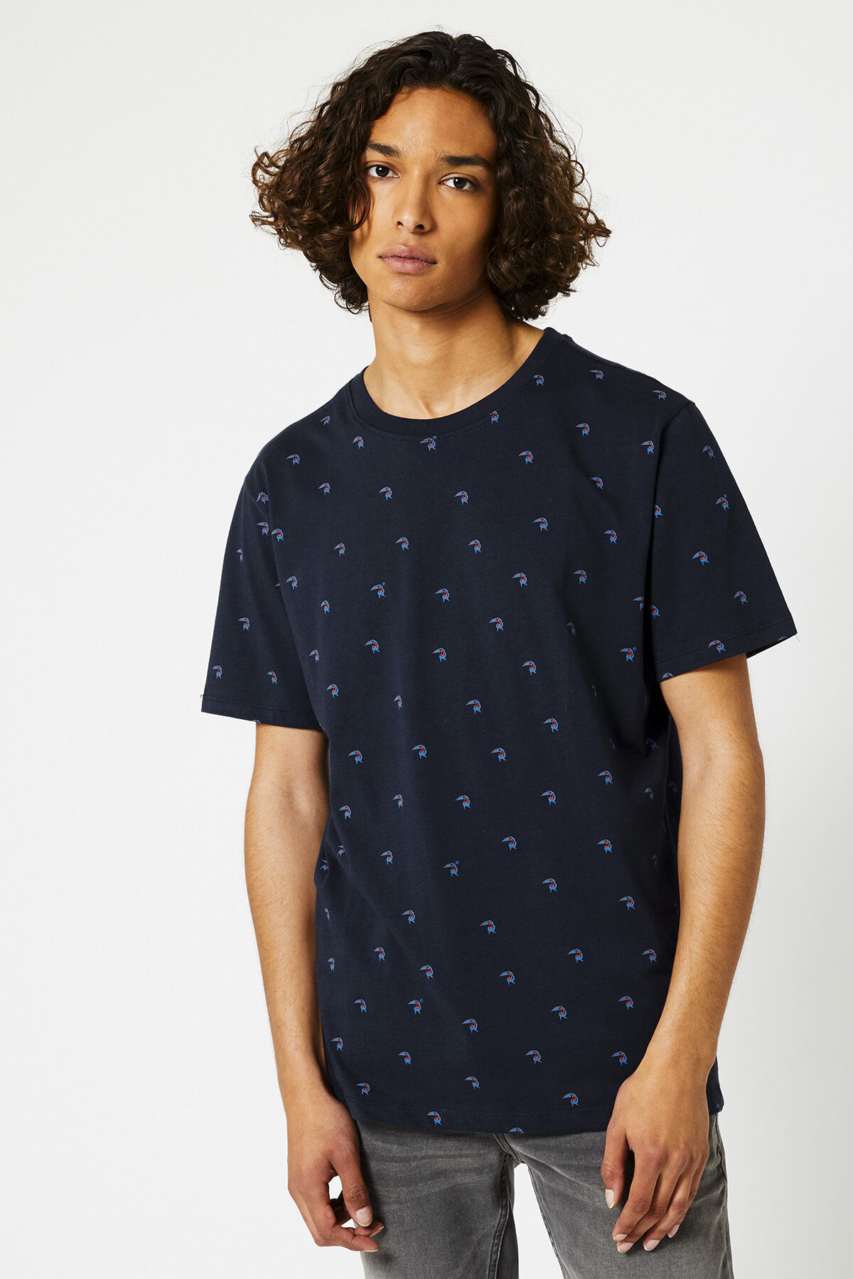 Elias Bird image number 1