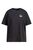 Dull black Dull black