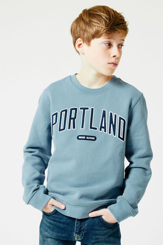 Sweat Stan crew JR image number 1
