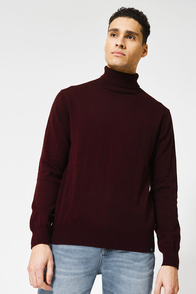 Turtleneck Knox image number 0