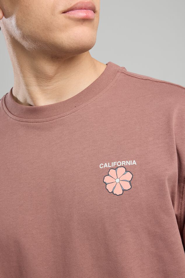 Erwyn image number 3