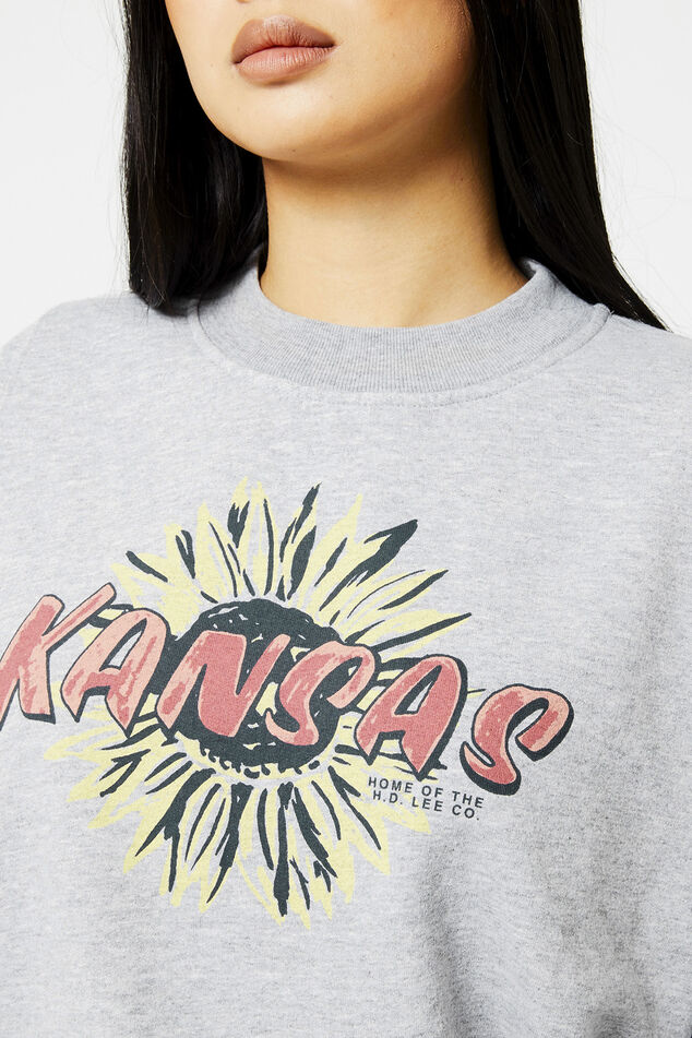 Sweater Cut and Sew Raglan Sweat image number 3