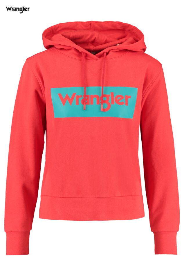 Hoodie Logo Hoodie image number 0