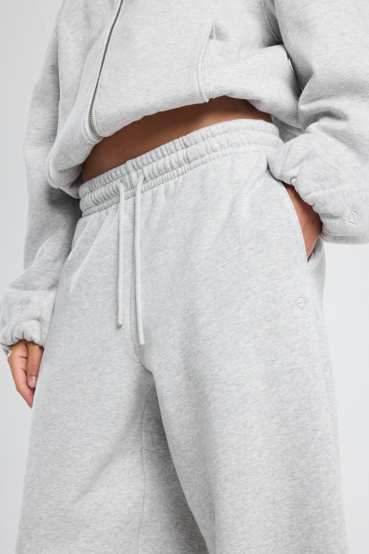 Camelia image number 3