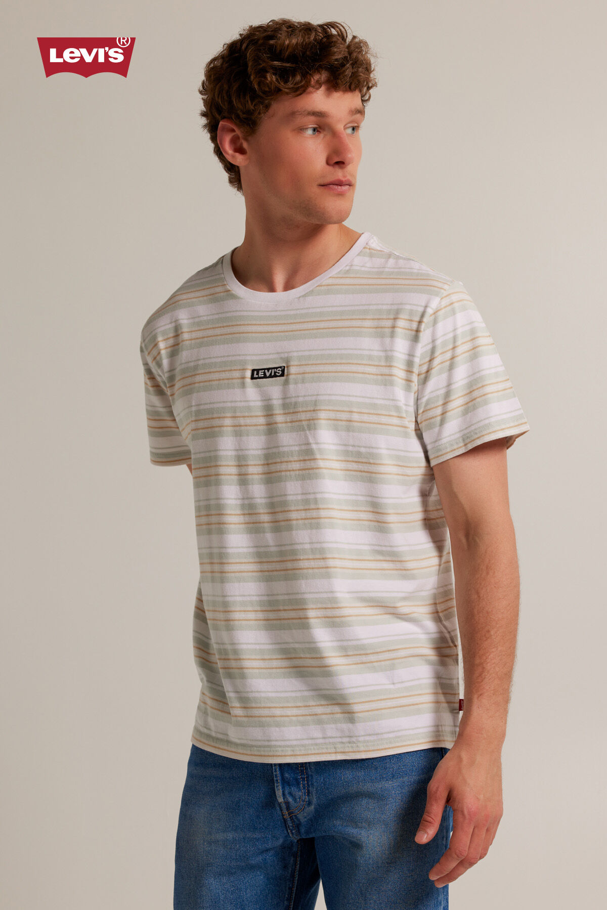 Heren Levi s T shirt SS relaxed tee Stripe