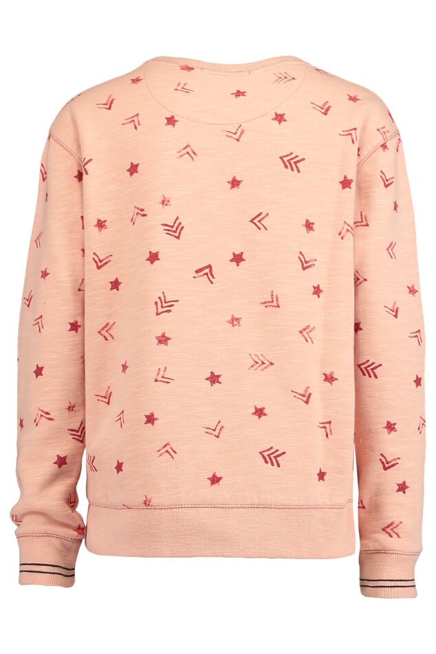 Sweater Sierra Jr image number 1