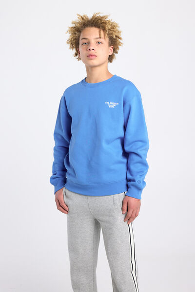 BOYS NAVY SEQUIN CRAB TEXTURED SLOGAN (HAVE A CRAB-U-LOUS DAY) SWEATSHIRT - NEW BOYS NAVY SEQUIN CRAB TEXTURED SLOGAN (HAVE A CRAB-U-LOUS DAY) SWEATSHIRT - NEW