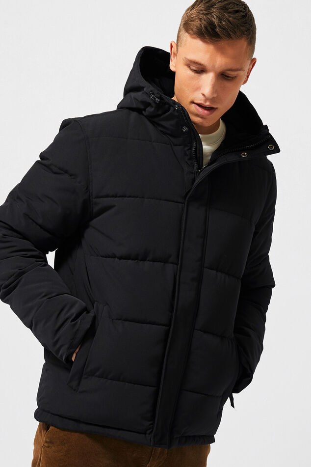 Jacket Johnson image number 1