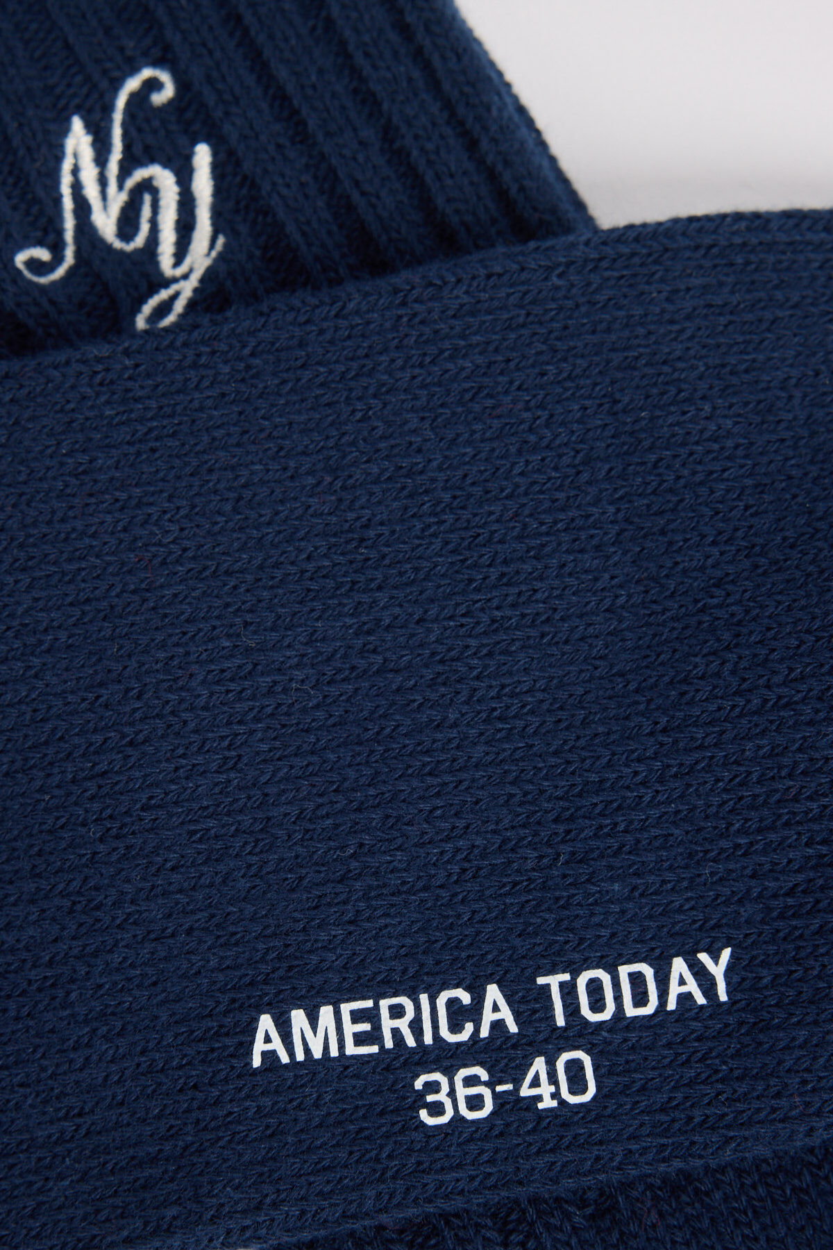 Tansy X image number 1