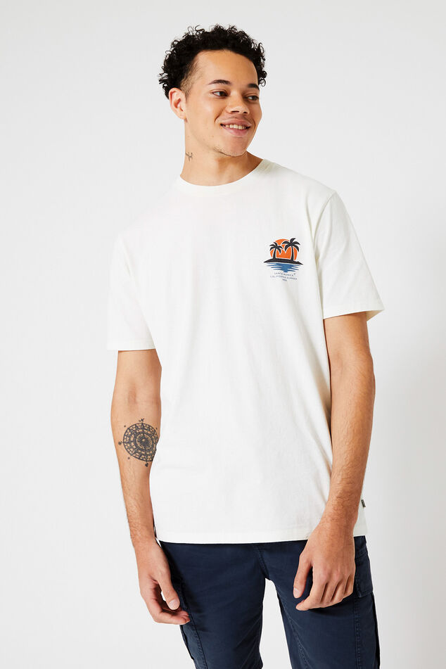 Eagle image number 0