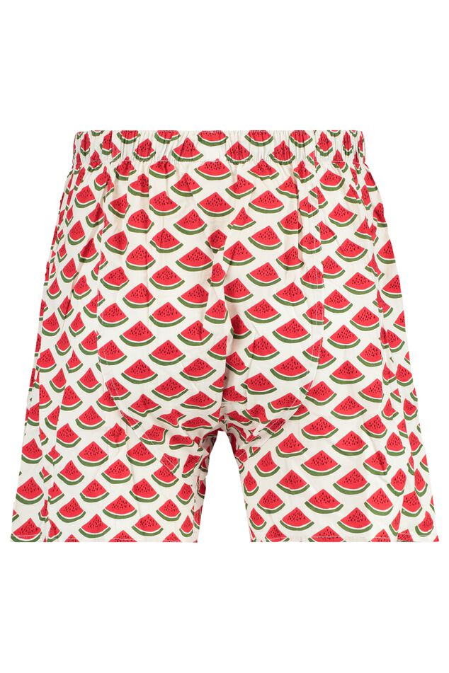 Boxershort Thomas image number 1