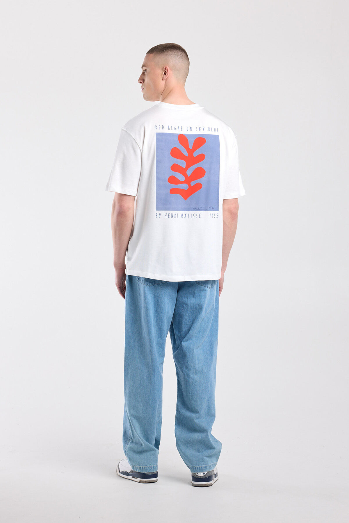 Eagle image number 2